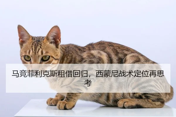 ma-jing-fei-li-ke-si-zu-jie-hui-gui-xi-meng-ni-zhan-shu-ding-wei-zai-si-kao-2-200.jpg