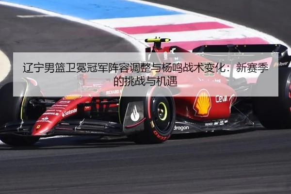 辽宁男篮卫冕冠军阵容调整与杨鸣战术变化：新赛季的挑战与机遇